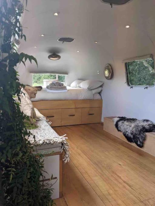 Airstream, Vintage American Caravan & Hottub Ашбертон Экстерьер фото